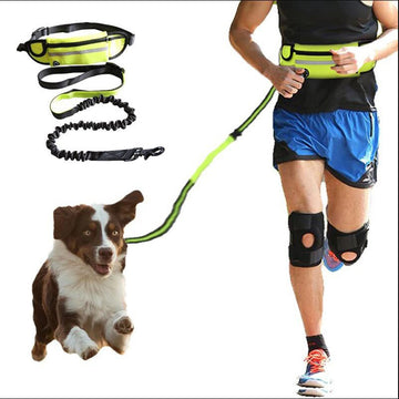 Hands-free Dog Leash with Storage Pouch